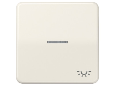 Produktbild Jung CD 590 KO5L Wippe Sym LICHT Lichtl ws fuer beleuchtb Taster