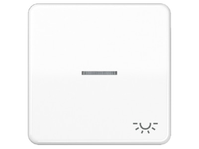 Produktbild Jung CD 590 KO5L WW Wippe Sym LICHT Lichtl aw fuer beleuchtb Taster