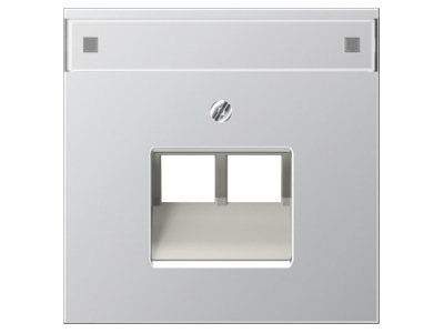 Product image Jung AL 2969 2 NAUA Plate UAE IAE  ISDN 
