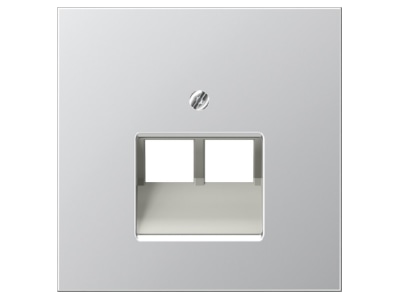 Product image Jung AL 2969 2 UA Plate UAE IAE  ISDN 
