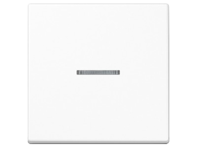 Produktbild Jung A 590 KO5 WW Wippe aws fuer Kontrollschalter
