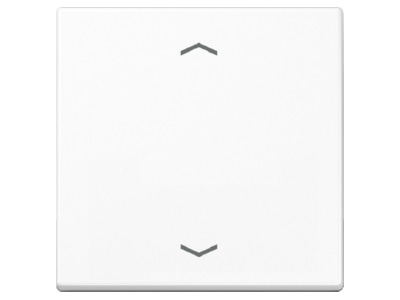 Produktbild Jung A 590 P WW Wippe Symbole aws fuer Taster