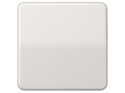 Produktbild Jung CD 590 BF LG Wippe lgr fuer Schalter Taster