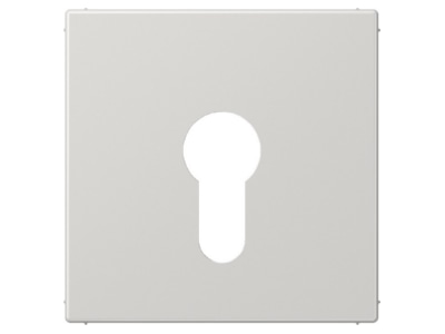 Produktbild Jung LS 925 LG Abdeckung lgr fuer Schluesselschalt 
