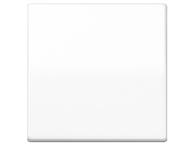 Product image Jung AS 591 WW Rocker for buttons  alpine white 
