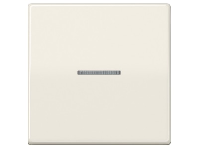 Produktbild Jung AS 591 KO5 Wippe Lichtleiter ws fuer Taster