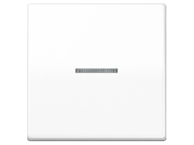 Product image Jung AS 591 KO5 WW Cover plate for switch push button white
