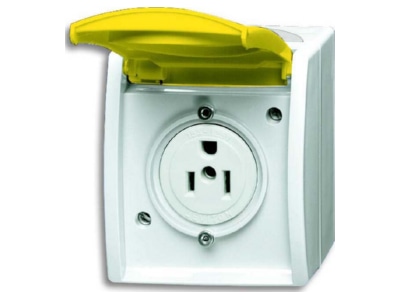 Product image Busch Jaeger 3015 EWN 54 Socket outlet  receptacle  NEMA yellow
