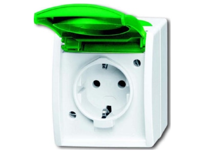Product image Busch Jaeger 20 EWN 13 54 Socket outlet  receptacle 
