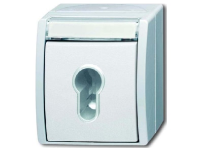 Product image Busch Jaeger 2733 SLW 54 Switch surface mounted white
