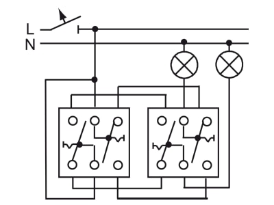 Wiring plan Busch Jaeger 2000 6 6 US 101 Alternating  alternating switch  2x
