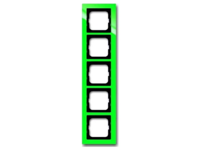 Product image Busch Jaeger 1725 286 Frame 5 gang green
