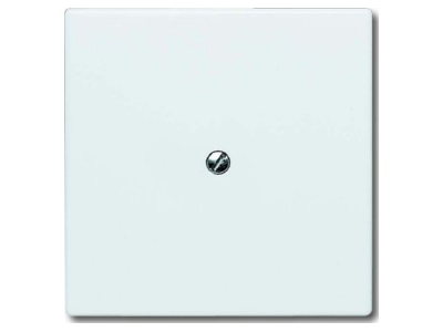 Produktbild Busch Jaeger 2138 32 Blindzentralscheibe ws mit Tragring