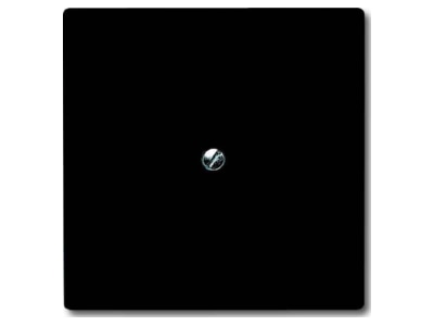 Produktbild Busch Jaeger 2138 35 Blindzentralscheibe anth mit Tragring