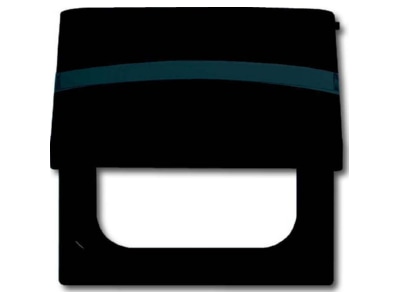 Product image Busch Jaeger 2118 GKN 35 Adapter cover frame
