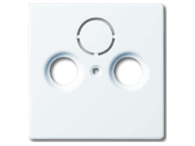 Produktbild Busch Jaeger 1743 84 Zentralscheibe dav sws f Antennendose 2Loch