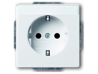 Produktbild Busch Jaeger 20 EUN 84 Steckdosen Einsatz dav sws m Besch feld2P E16A