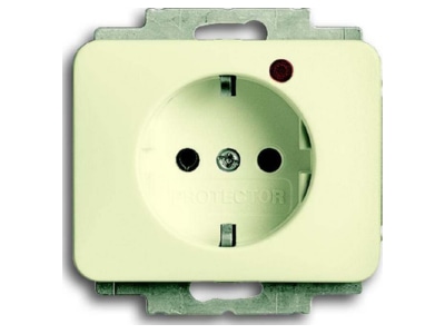 Product image Busch Jaeger 2310EUGL VA 22G 11 Socket outlet  receptacle 
