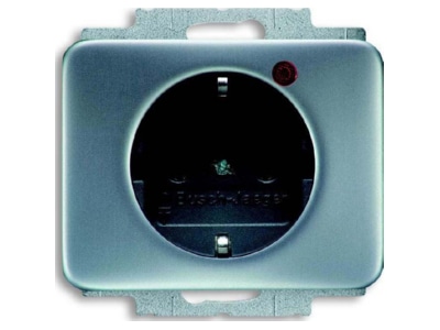 Product image Busch Jaeger 2310EUGL VA 266 11 Socket outlet  receptacle 

