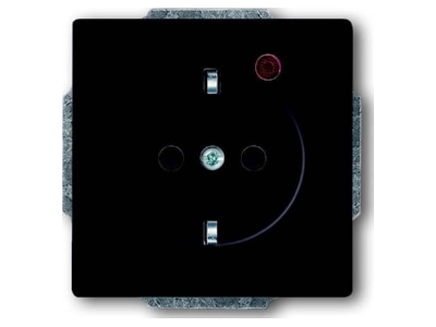 Product image Busch Jaeger 2310 EUGL VA 81 11 Socket outlet  receptacle 
