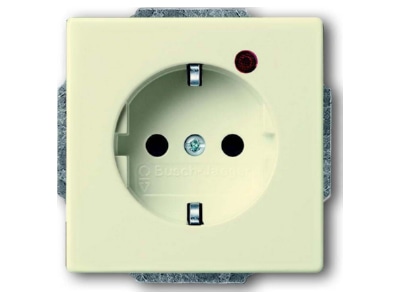 Product image Busch Jaeger 2310 EUGL VA 82 11 Socket outlet  receptacle 
