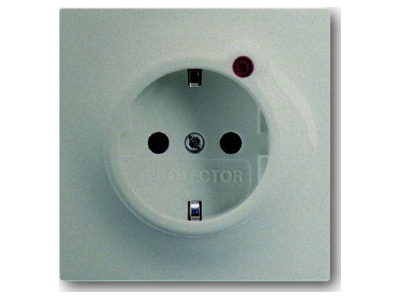 Product image Busch Jaeger 2310 EUGL VA 79 11 Socket outlet  receptacle 
