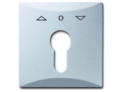 Product image Busch Jaeger 2155 PZ 33 Cover plate for switch aluminium
