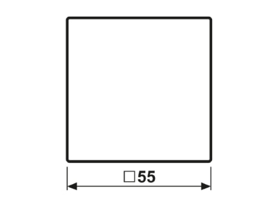 Ma�zeichnung Jung A 590 NA GL Wippe Schriftfeld transp  fuer Schalter Taster
