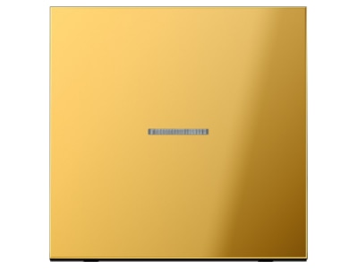 Produktbild Jung GO 2990 KO5 Wippe Lichtleiter go fuer Schalter Taster