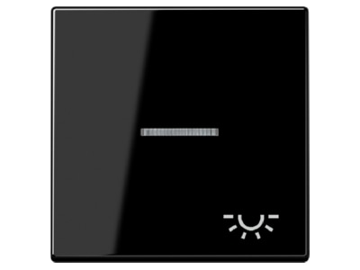 Produktbild Jung A 590 KO5L SW Wippe Symbol LICHT sw fuer Kontrollschalter