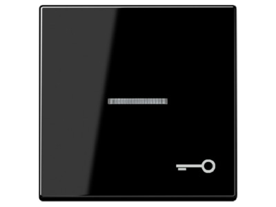 Produktbild Jung A 590 KO5T SW Wippe Symbol TUeR sw fuer beleuchtb Taster
