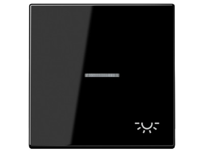 Produktbild Jung LS 990 KO5L SW Wippe Sym LICHT Lichtl sw fuer beleuchtb Taster