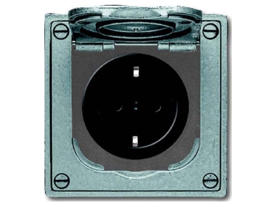 Product image Busch Jaeger 20 EFDB2 Socket outlet  receptacle 
