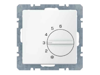 Produktbild 1 Berker 20266089 Raumtemperaturregler Wechsler