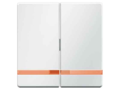 Produktbild 1 Berker 16276089 Wippen polarweiss