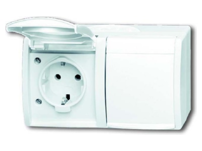 Produktbild Busch Jaeger 20 2 EBW 54 Steckdose alpinweiss  Aufputz