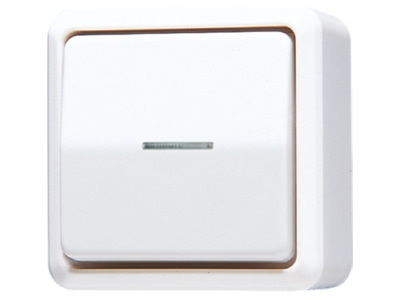 Produktbild Jung 606 KO5 A WW Wipp Kontrollschalter Univ Aus Wechsel
