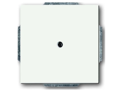 Produktbild Busch Jaeger 1742 884 Zentralscheibe ws Blindabd m Tragring