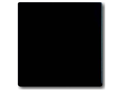 Product image Busch Jaeger 1785 885 Cover plate for switch push button black
