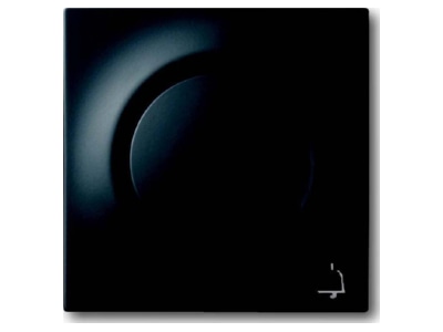 Product image Busch Jaeger 1789 KI 775 Cover plate for switch push button black

