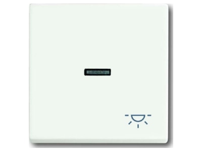 Produktbild Busch Jaeger 1789 LI 884 Wippe stws mt mit Symbol Licht