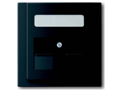 Product image Busch Jaeger 1800 775 Control element Modular Jack

