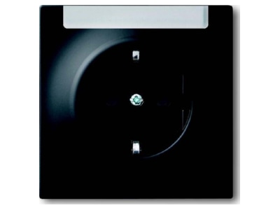 Product image Busch Jaeger 20 EUN 775 Socket outlet  receptacle 
