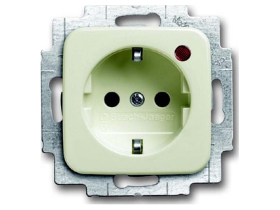 Product image Busch Jaeger 2310 EUGL VAB 212 Socket outlet  receptacle 
