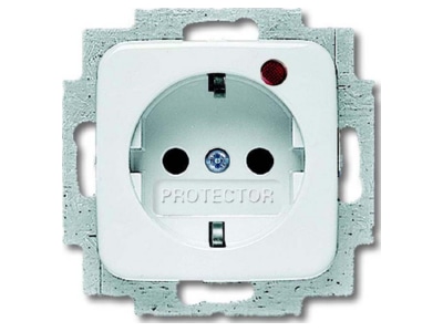 Product image Busch Jaeger 2310 EUGL VAB 214 Socket outlet  receptacle 
