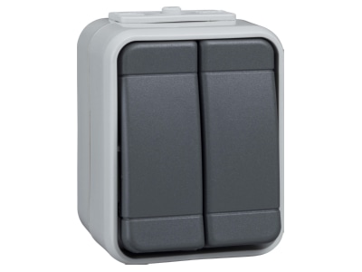 Product image 1 Elso ELG452519 Push button 2 make contacts  NO  grey
