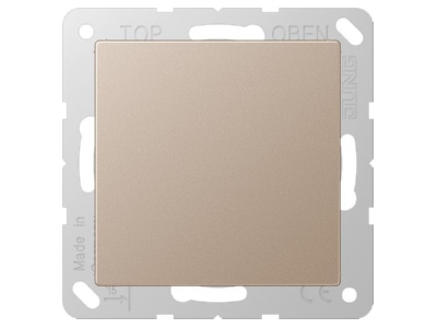 Produktbild Jung A 594 0 CH Blind Abdeckung champ Tragring