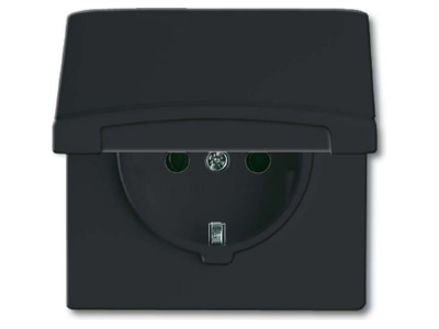 Produktbild Busch Jaeger 20 EUGK 35 101 Schuko Steckdoseneinsatz IP44 anthrazit