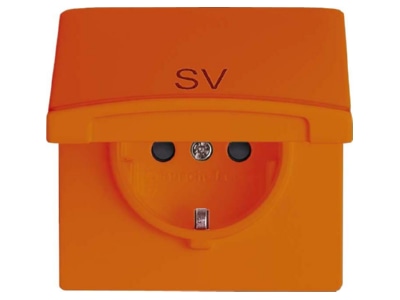 Product image Busch Jaeger 20 EUGKB 14 101 Socket outlet  receptacle 
