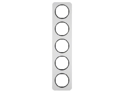 Product image 1 Berker 10152184 Frame 5 gang aluminium
